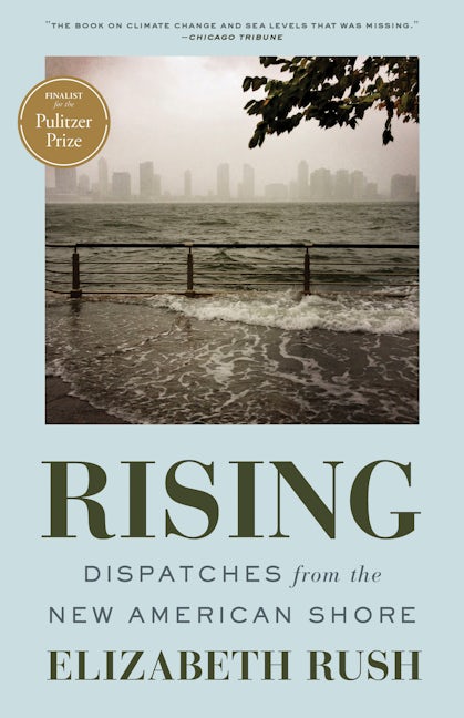Book cover image for Rising ISBN: 9781571313812